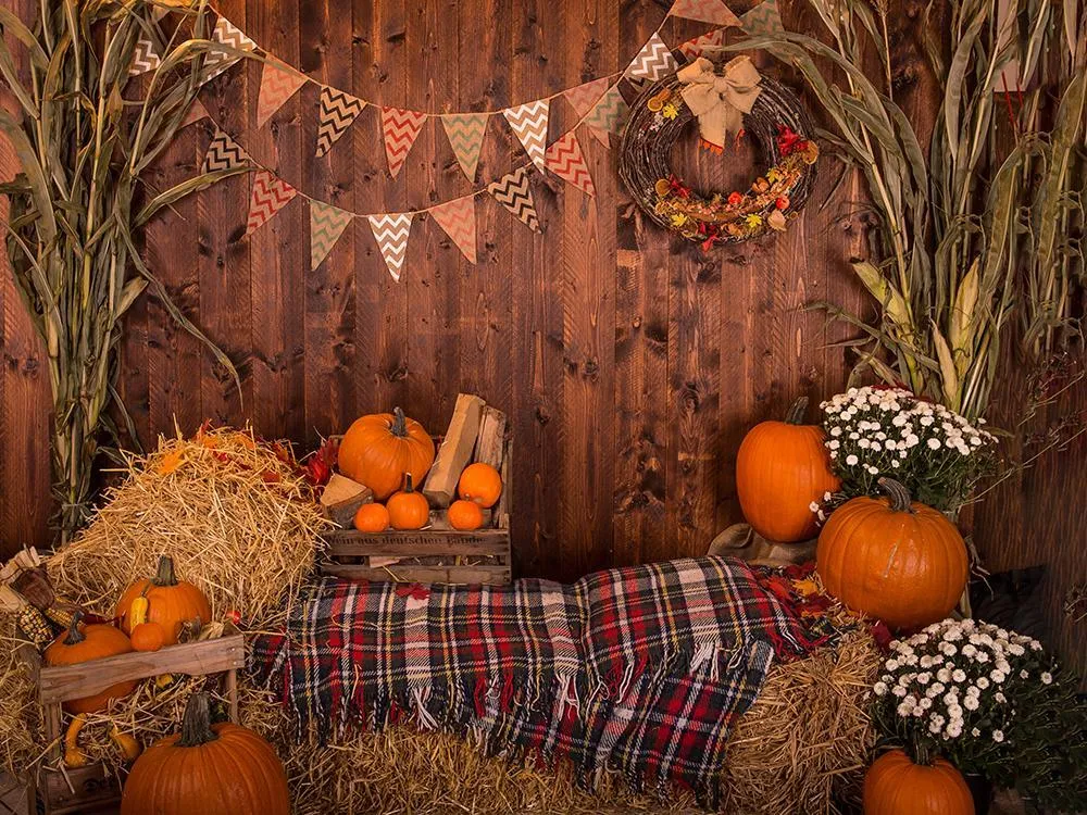 Paille de citrouille de la résistant d'automne pour les photos DBD-H19037