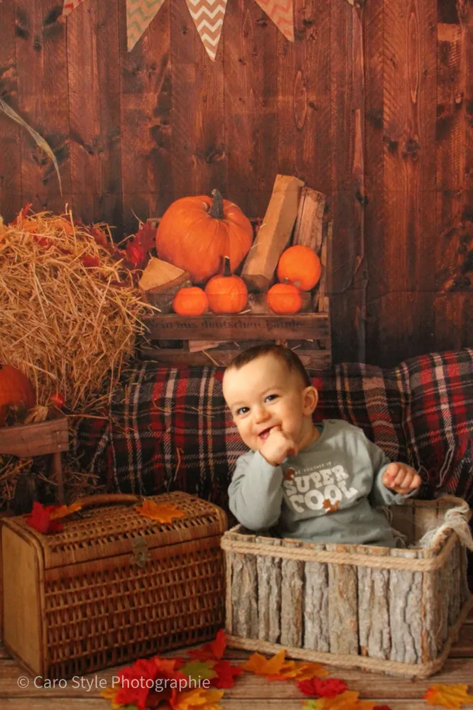 Paille de citrouille de la résistant d'automne pour les photos DBD-H19037