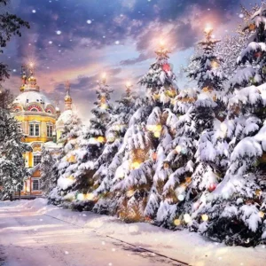 Toile de fond d'arbres enneigés de Noël d'hiver gelés pour la photographie lv-1170