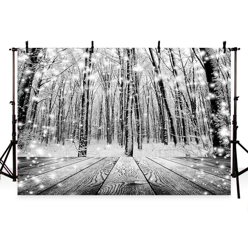 Toile de fond d'hiver de êt de flocon de neige gris pour la photographie photo G-740
