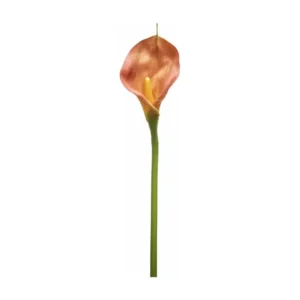 Tige d'Arum Kelly - Violet avec système antivol