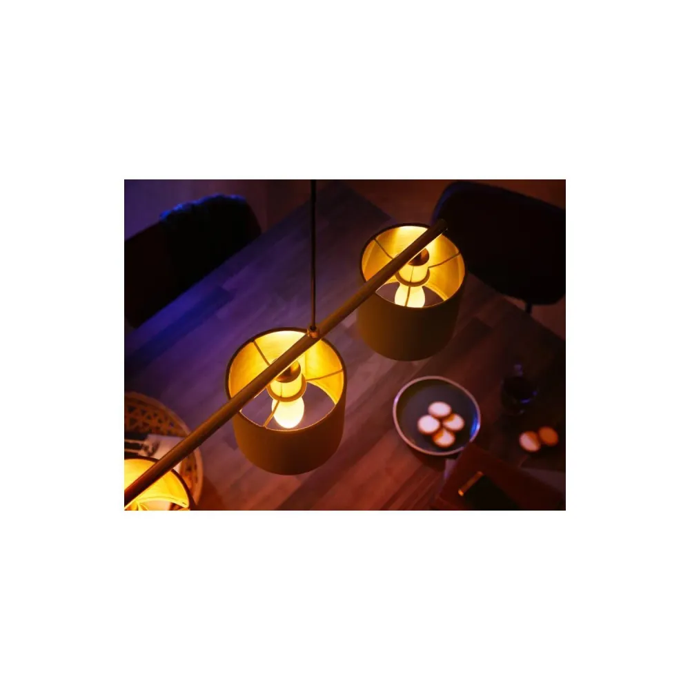 Ampoule de plaque Kit de 2 ampoules connectées Philips Hue B39 E14 5.2W 470 lumens