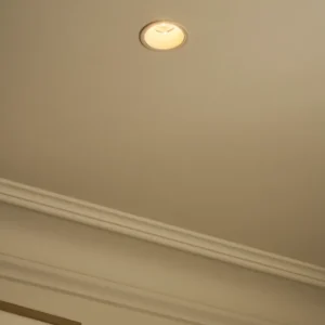 Buxton Spot Anti-Feu Encastrable Fixe 50 mm – Peignable avec connecteur H7