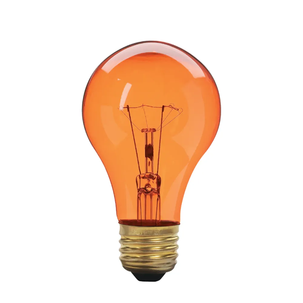 Phares avant Ampoule incandescente A19, ambrée