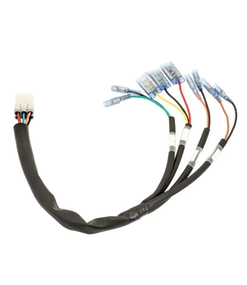 Kit Kotflügel + Scheinwerfer + Adapter für Thruxton 1200 Triumph