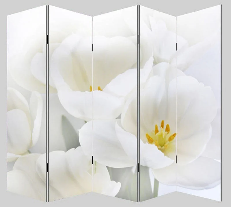 Paravent 5 panneaux pans séparateur de pièce 180x200cm motif orchidee PAR04006