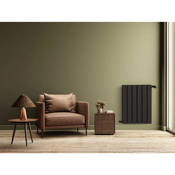 Radiateur horizontal jumeau noir NYTIA