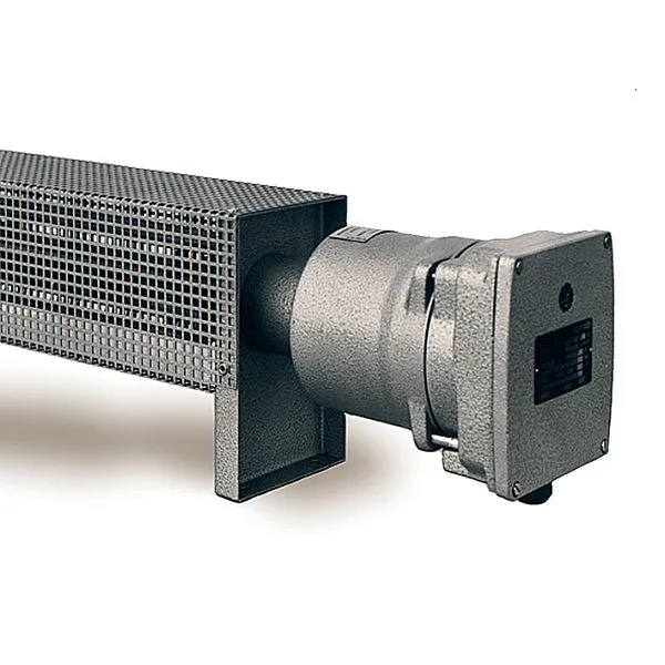 Schultze RiRo Ex 2000-K2 Ex radiateur avec panier de protection 2000W 230V T3 IP66 EX 2000-K2 commander à bas prix