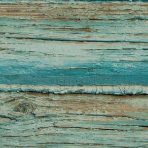 Toile de fond de photo en bois bleu sans peinture J04142