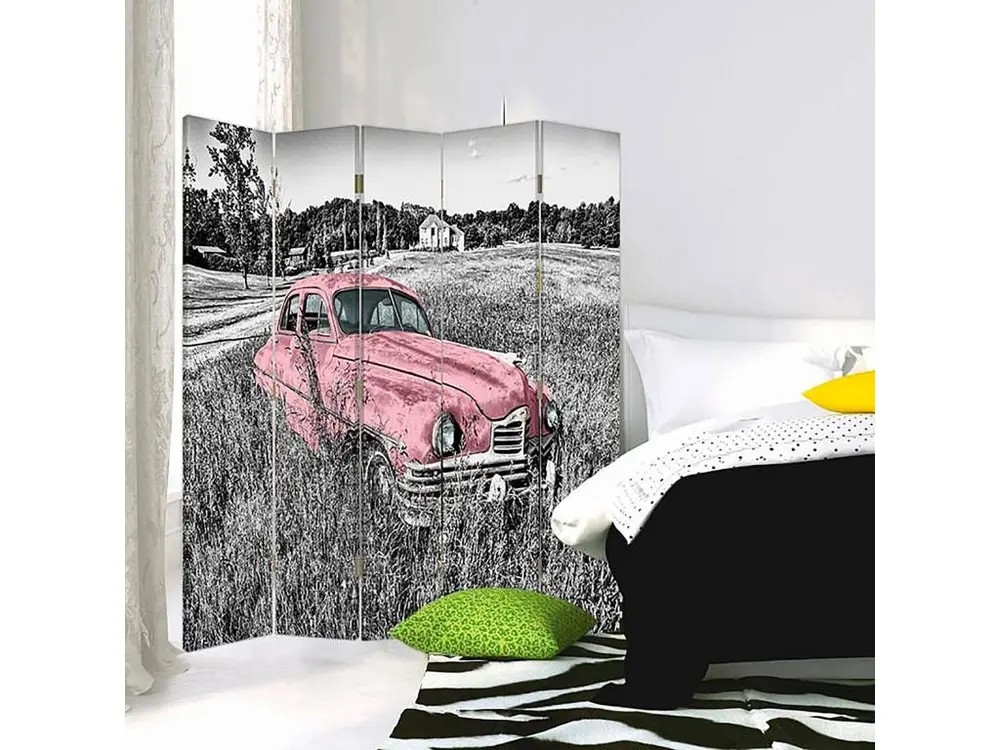 Paravent voiture rose dans un champ 5 volets - 180 x 180 cm - 2 faces R° V°