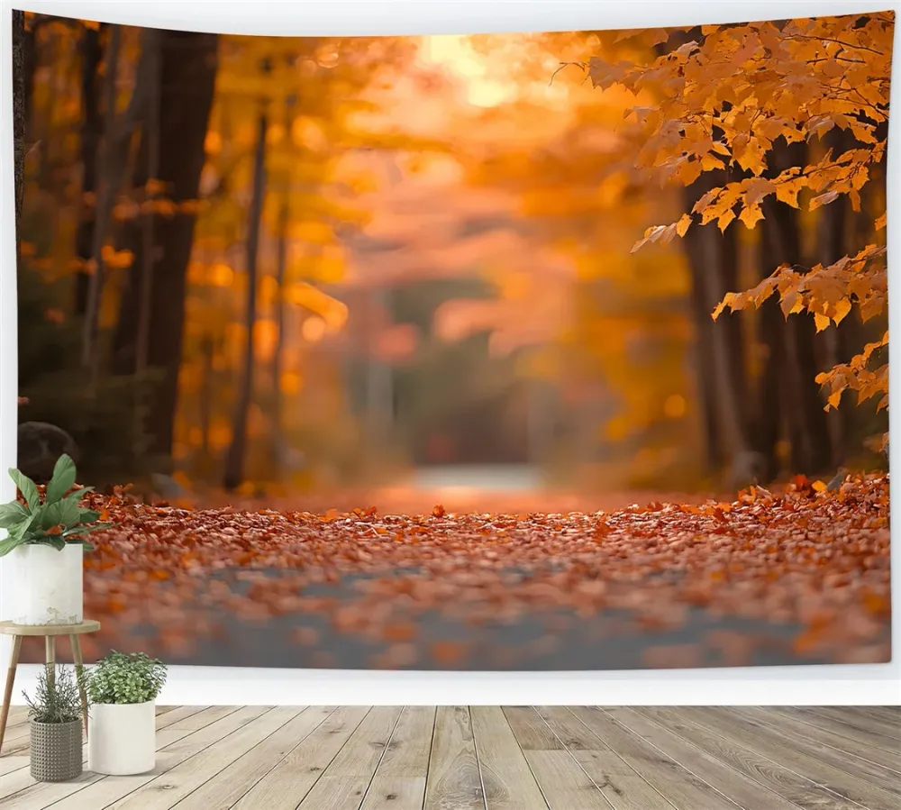 Toile de fond Automne Sentier Tranquille et Feuilles en êt CSH6-230