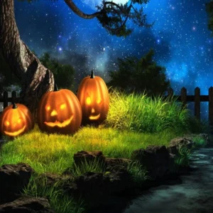 Toile de fond de citrouilles de nuit de vacances d'Halloween pour la photographie SH-1037