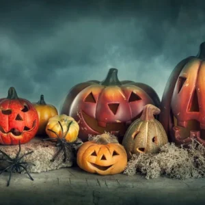 Toile de fond d'Halloween citrouille étrange d'araignée DBD-H19054