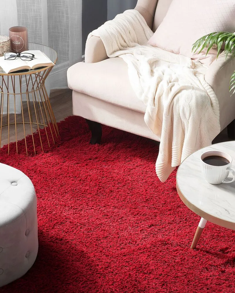 Vloerkleed tissu synthétique rood 200 x 300 cm CIDE