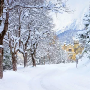 Hiver Neige Arbres Rue Château Toile de fond M11-12 avec fixation universelle