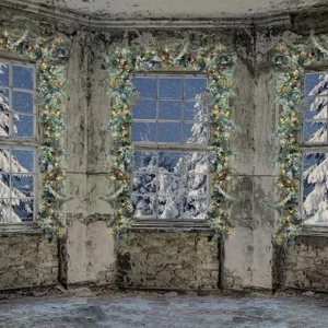 À l'extérieur du château hiver neige arbre toile de fond D951 pour toutes saisons