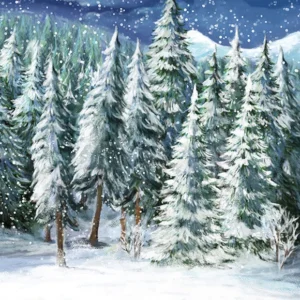 Toile de fond de neige d'hiver d'arbre de Noël pour la photographie D825