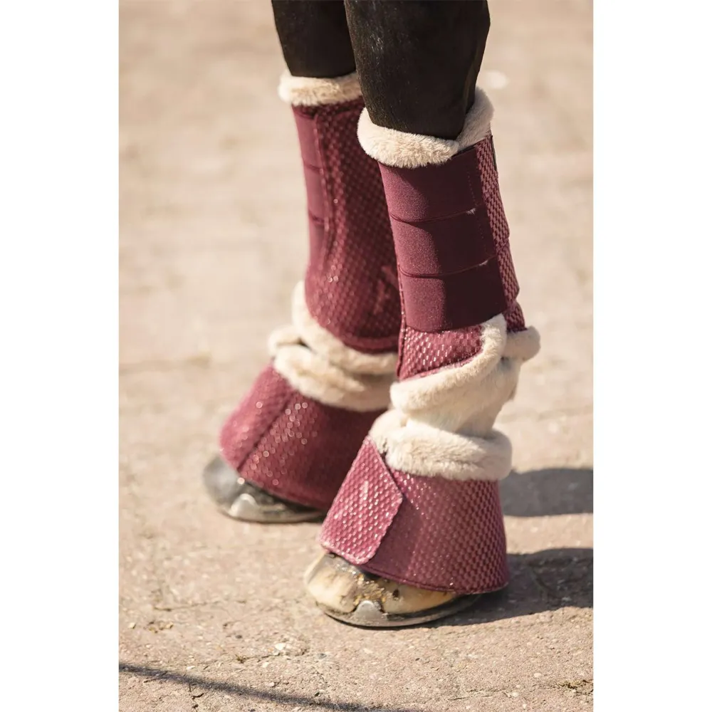 ANKY Dressage Boots Check En velours ATB25005 Mellow Mauve Coffre rigide 45L