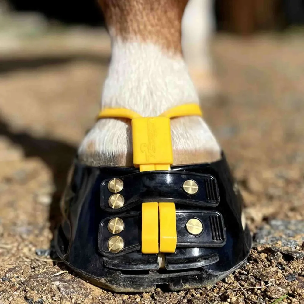 Certifié CE Scoot Boots Mud Strap Marigold