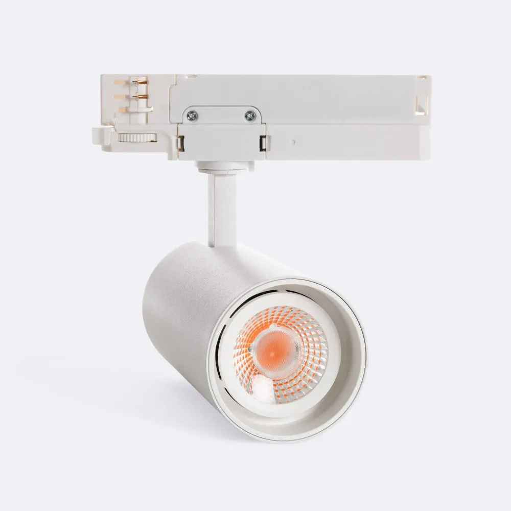 Amortisseur arrière Projecteur LED triphasé 30W adapté pour illuminer une boucherie.