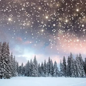 Certifié OEM Toile de Fond d'Arbres de Noël d'Hiver Étoiles Brillantes pour la Photographie Gx-1080