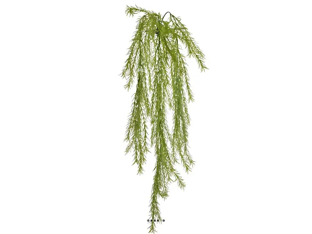Chute d'asparagus artificiel L 80cm vert manifeste