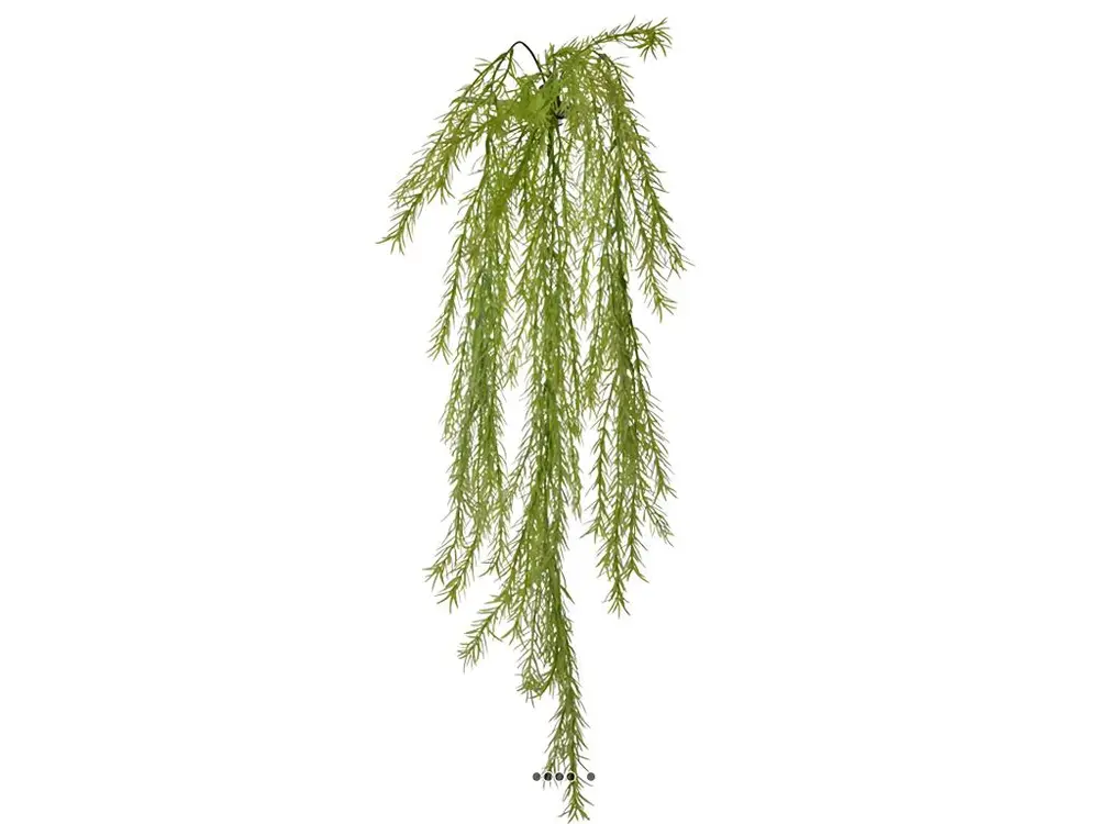 Chute d'asparagus artificiel L 80cm vert manifeste