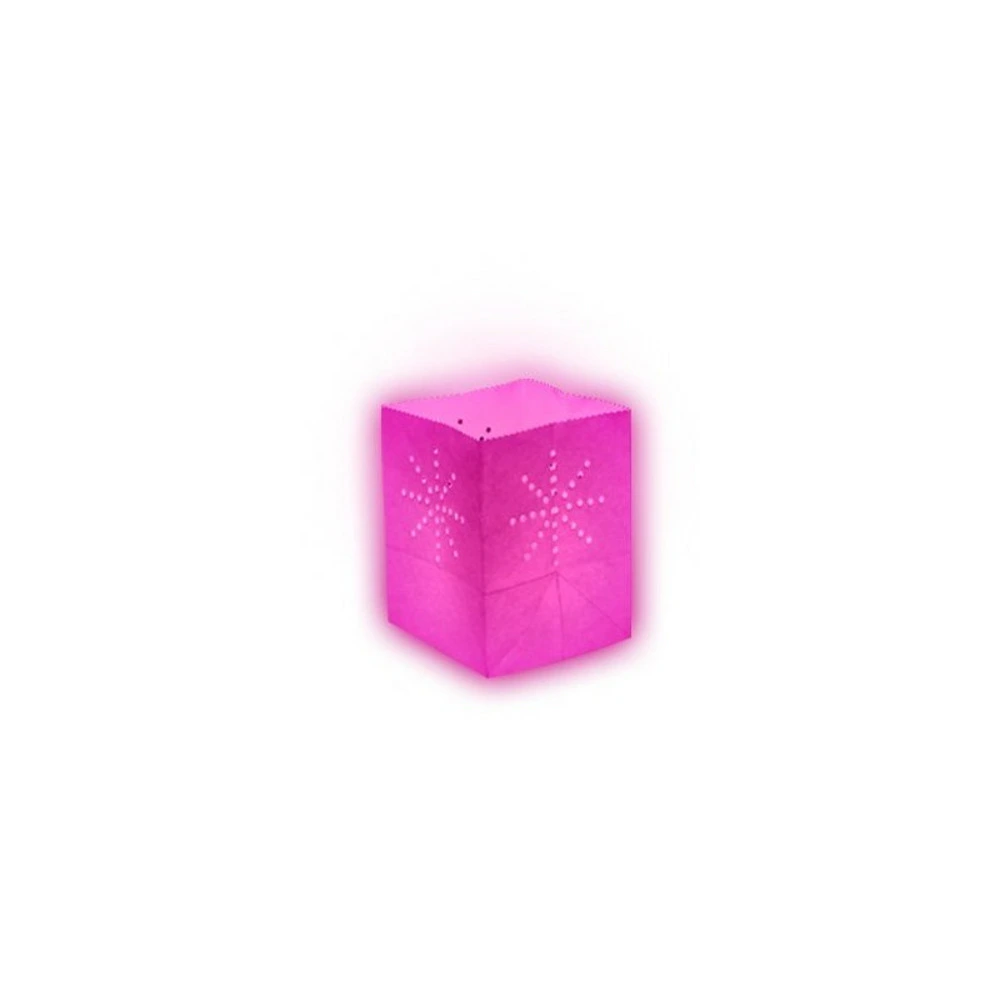 Haute Performance Lanterne papier medium rose (x10)