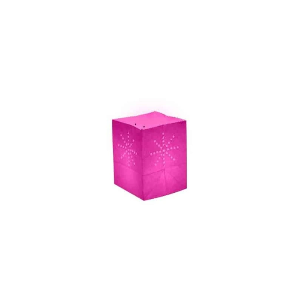 Haute Performance Lanterne papier medium rose (x10)