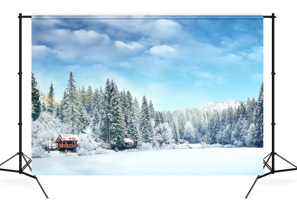 Neige Hiver êt Village Scénario Toile de fond M10-67
