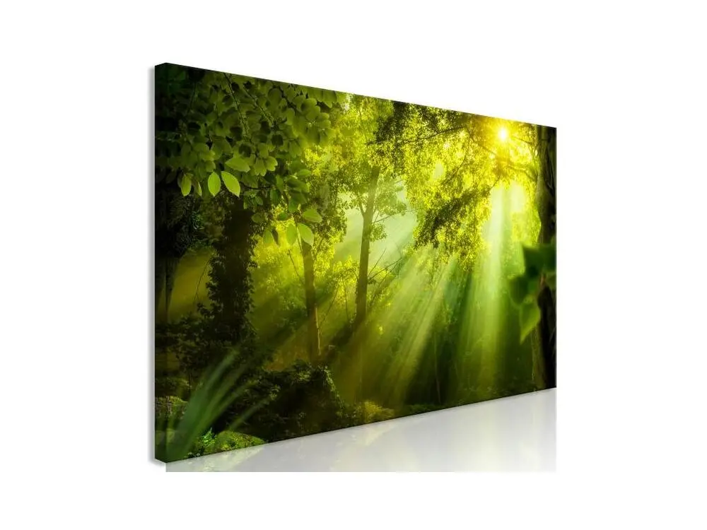 Tableau Sunshine (1 Part) Fin : Taille - 135 x 45 cm
