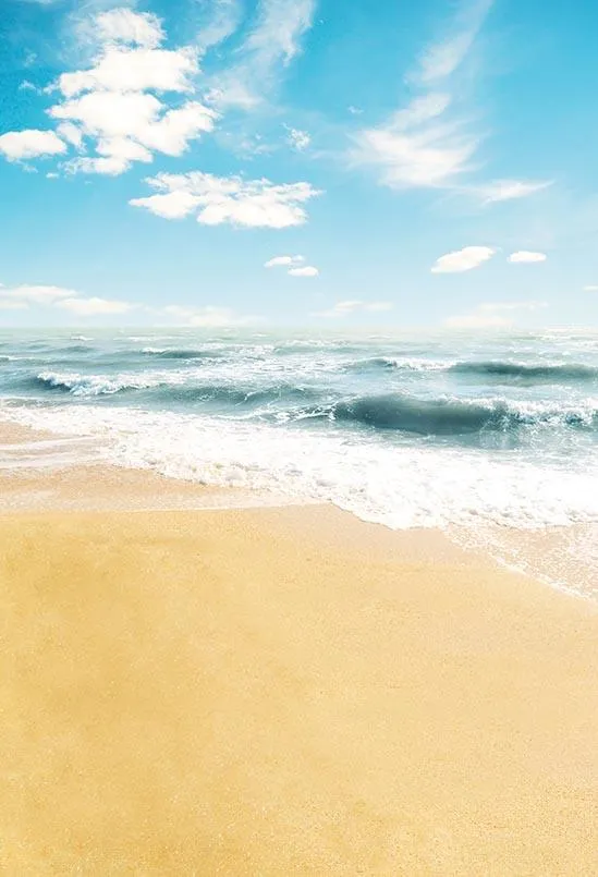 Toile de fond de Mer Plage Ciel bleu de l'été pour Studio S-3105