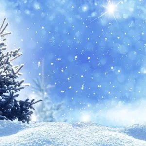 Toile de fond de photographie d'hiver neige pays des merveilles J2040-E
