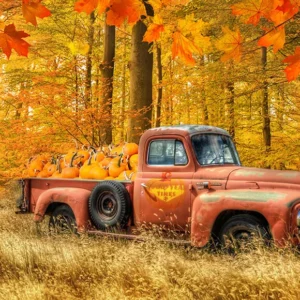 Toile de fond de Thanksgiving de camion de citrouille de récolte d'automne D864