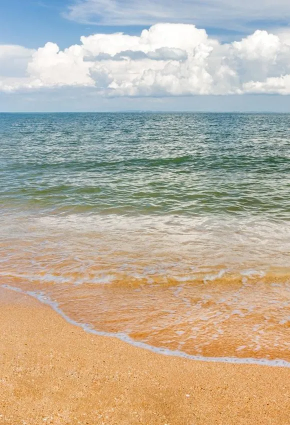 Toile de fond de vacances d'été sur la plage de sable pour amélioration performances