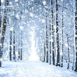 Toiles de Fond de Noël de Scène de Neige de êt Blanche Gx-1070