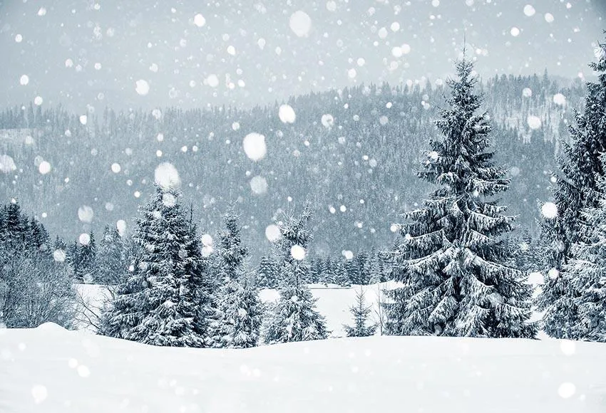 Toiles de Fond de Scène de Neige Grises pour Noël Gx-1074