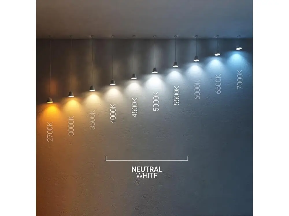 Ampoule LED Filament E27 8W 1055 lm Dimmable G95 Blanc Neutre 4000K