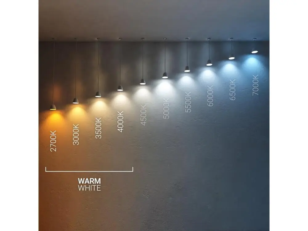 Ledkia Ampoule LED Filament E27 6W 720 lm A60 Ton or