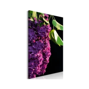 Tableau Fleurs Colours Spring (1 Part) Vertical : Taille - 60 x 90 cm