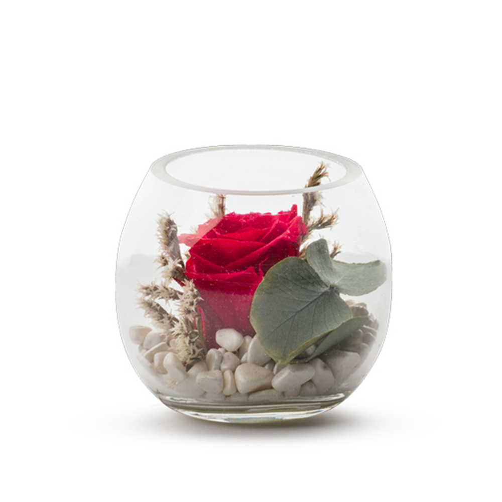 Verrine Venezia 8 rouge eucalyptus Naturalys avec connexion 4G