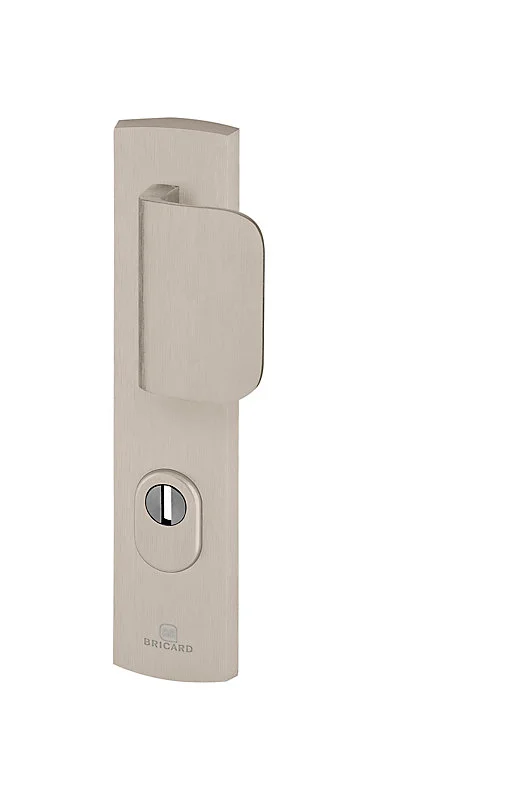 Ensemble poignée de porte blindée aileron sur plaque régulier eMUST Bricard entraxe 195mm brossé gris