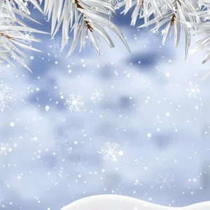 Toile de fond de photographie de Neige en hiver J02733