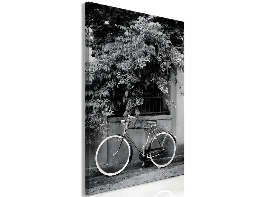 Tableau Ancien Bicycle and Flowers (1 Part) Vertical : Taille - 80 x 120 cm