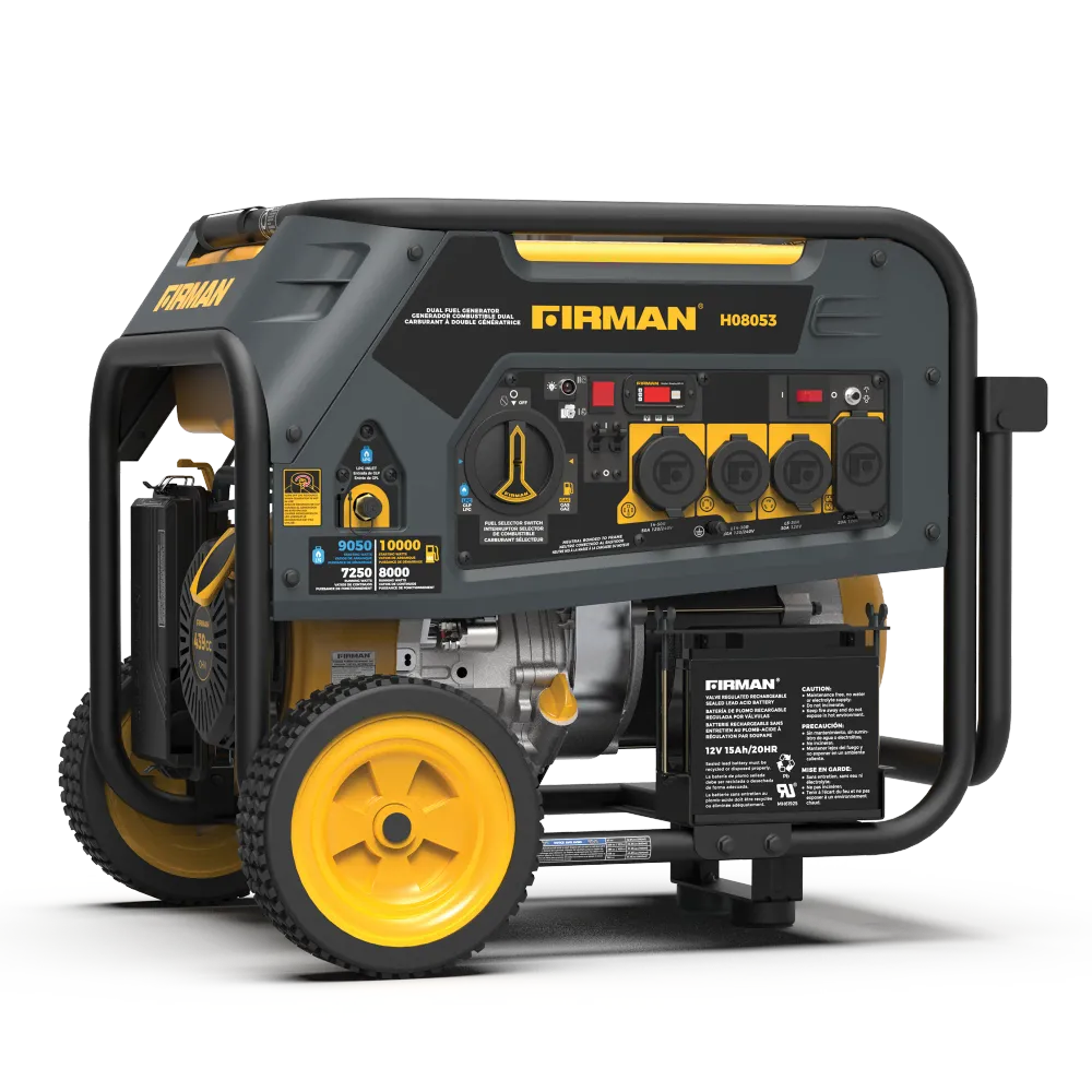 Dual Fuel Léger et mobile Generator 8000W Electric Start 120/240V