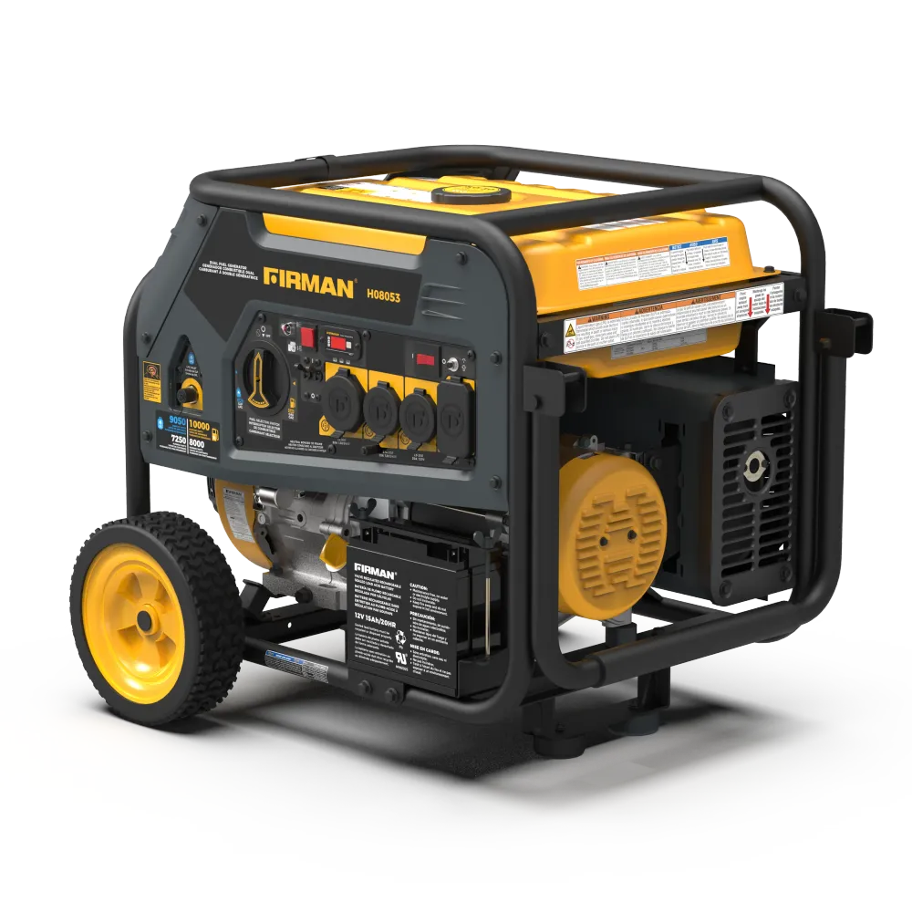 Dual Fuel Léger et mobile Generator 8000W Electric Start 120/240V