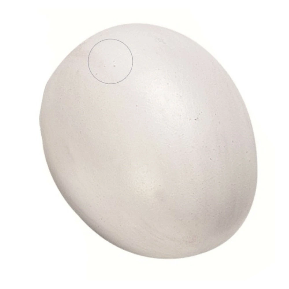 Un faux œuf de poule en plastique pour volaille - Compatible Universelle