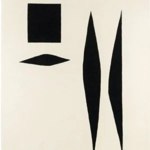 Off White & Noir jais Nimmi Hand Tufted Minimalist New Zealand Wool Rug