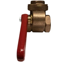 4" Quick Opening Gate Valve 941141