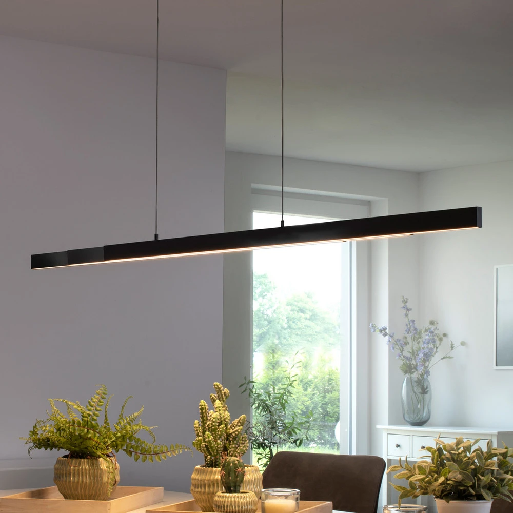 Paul Neuhaus Q-ARIAN suspension LED anthracite - Compatibilité Universelle Véhicule